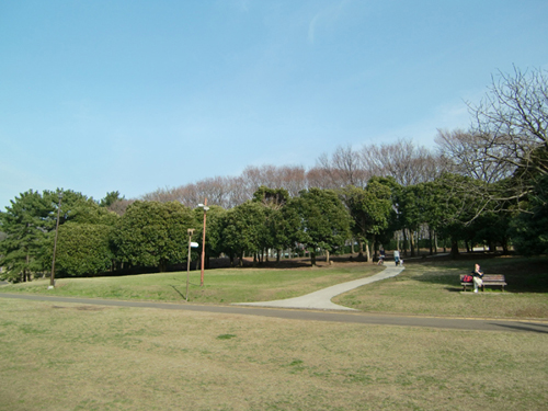 根岸森林公園内